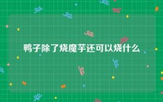 鸭子除了烧魔芋还可以烧什么