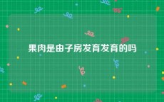 果肉是由子房发育发育的吗