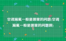 空调漏氟一般是哪里的问题(空调漏氟一般是哪里的问题啊)