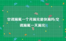 空调漏氟一个月漏完是快漏吗(空调漏氟一天漏完)