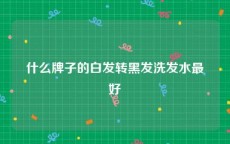 什么牌子的白发转黑发洗发水最好