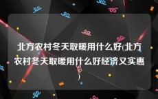 北方农村冬天取暖用什么好(北方农村冬天取暖用什么好经济又实惠)