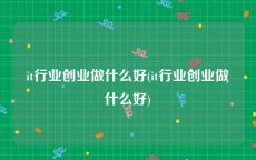 it行业创业做什么好(it行业创业做什么好)