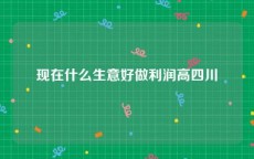 现在什么生意好做利润高四川