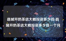 县城开奶茶店大概投资多少钱(县城开奶茶店大概投资多少钱一个月)