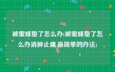 被蜜蜂蛰了怎么办(被蜜蜂蛰了怎么办消肿止痛,最简单的办法)