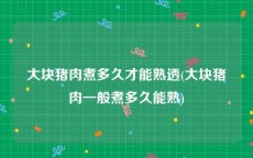 大块猪肉煮多久才能熟透(大块猪肉一般煮多久能熟)