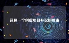 选择一个创业项目并说明理由