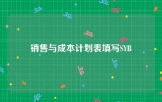 销售与成本计划表填写SYB