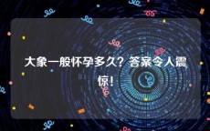 大象一般怀孕多久？答案令人震惊！