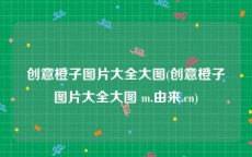 创意橙子图片大全大图(创意橙子图片大全大图 m.由来.cn)