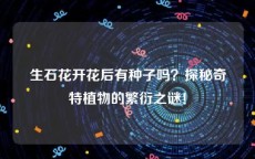 生石花开花后有种子吗？探秘奇特植物的繁衍之谜！