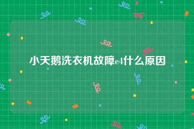 小天鹅洗衣机故障e4什么原因