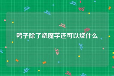 鸭子除了烧魔芋还可以烧什么