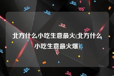 北方什么小吃生意最火(北方什么小吃生意最火爆)