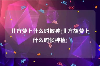 北方萝卜什么时候种(北方胡萝卜什么时候种植)
