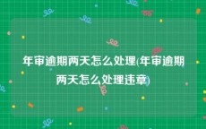 年审逾期两天怎么处理(年审逾期两天怎么处理违章)