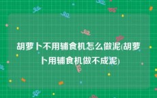 胡萝卜不用辅食机怎么做泥(胡萝卜用辅食机做不成泥)
