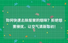 如何快速去除屋里的烟味？拒绝烟雾侵扰，让空气清新如初！