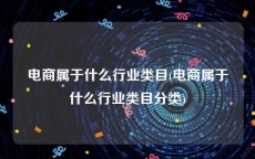 电商属于什么行业类目(电商属于什么行业类目分类)