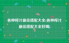 各种榨汁最佳搭配大全(各种榨汁最佳搭配大全好喝)