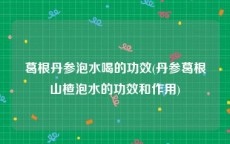 葛根丹参泡水喝的功效(丹参葛根山楂泡水的功效和作用)