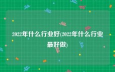 2022年什么行业好(2022年什么行业最好做)