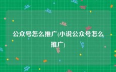 公众号怎么推广(小说公众号怎么推广)