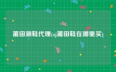 莆田潮鞋代理(aj莆田鞋在哪里买)