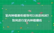 室内种植哪些植物可以创造利润？如何进行室内种植赚钱