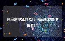 洞庭湖甲鱼好吃吗(洞庭湖野生甲鱼简介)