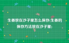 生姜放在沙子里怎么保存(生姜的保存方法放在沙子里)