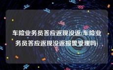 车险业务员答应返现没返(车险业务员答应返现没返报警受理吗)