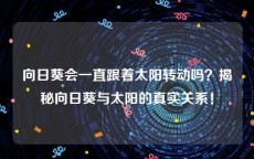 向日葵会一直跟着太阳转动吗？揭秘向日葵与太阳的真实关系！