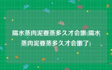 隔水蒸肉泥要蒸多久才会嫩(隔水蒸肉泥要蒸多久才会嫩了)