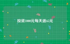 投资1000元每天返65元