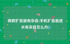 得胜扩音器有杂音(手机扩音器进水有杂音怎么办)
