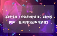 茶叶过期了应该如何处理？别急着扔掉，聪明的方法教你转化！