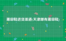 莆田鞋进货渠道(天津哪有莆田鞋)