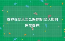 姜种在冬天怎么保存好(冬天如何保存姜种)