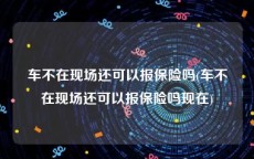 车不在现场还可以报保险吗(车不在现场还可以报保险吗现在)