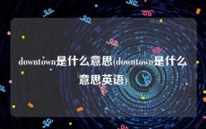 downtown是什么意思(downtown是什么意思英语)