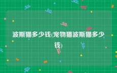 波斯猫多少钱(宠物猫波斯猫多少钱)