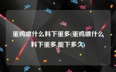 蛋鸡喂什么料下蛋多(蛋鸡喂什么料下蛋多,能下多久)