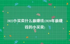 2022小买卖什么最赚钱(2020年最赚钱的小买卖)