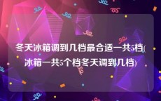 冬天冰箱调到几档最合适一共5档(冰箱一共5个档冬天调到几档)