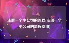 注册一个小公司的流程(注册一个小公司的流程费用)