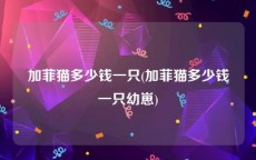 加菲猫多少钱一只(加菲猫多少钱一只幼崽)