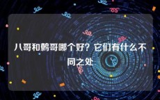 八哥和鹩哥哪个好？它们有什么不同之处