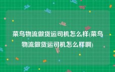 菜鸟物流做货运司机怎么样(菜鸟物流做货运司机怎么样啊)